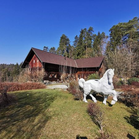 Hotel Ranch Kaja & Grom Vojnik Exteriér fotografie