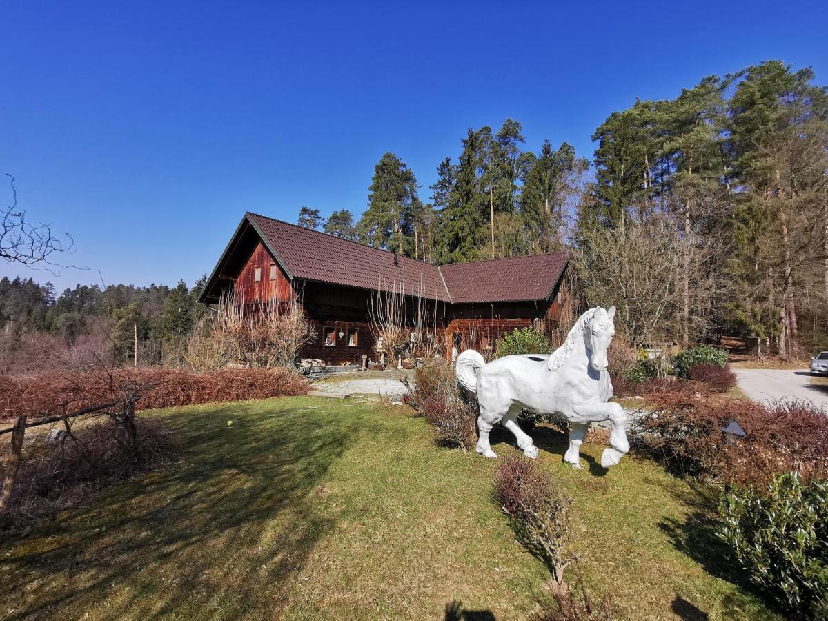 Hotel Ranch Kaja & Grom Vojnik Exteriér fotografie