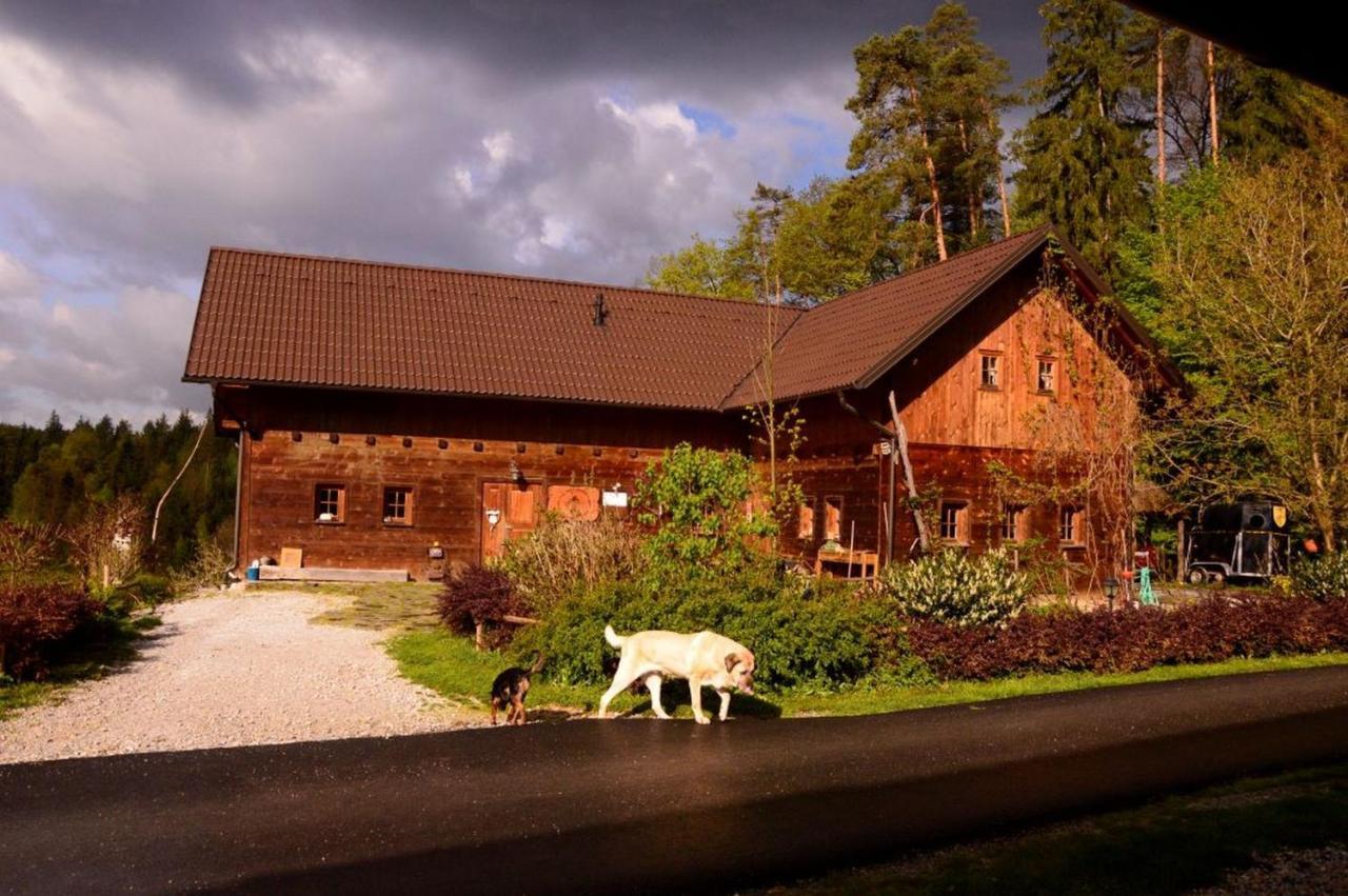 Hotel Ranch Kaja & Grom Vojnik Exteriér fotografie