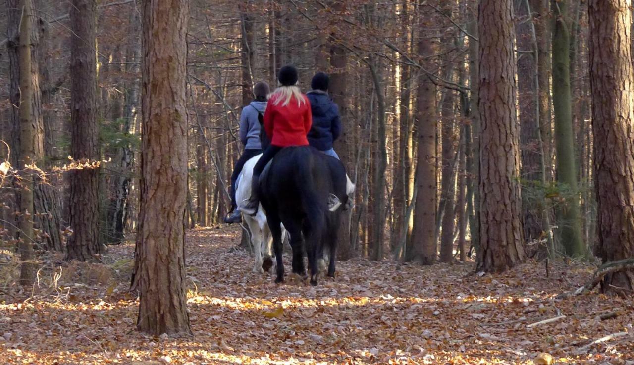 Hotel Ranch Kaja & Grom Vojnik Exteriér fotografie